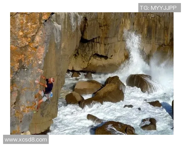 武汉极限运动队荣登极限运动战术排行榜第一名的辉煌成就
