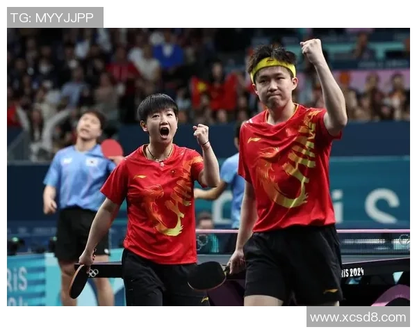 深圳乒乓球队配合策略分析与团队协作提升探讨